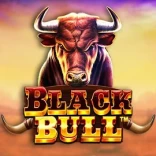 Black Bull casinospel