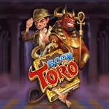 Book Of Toro casinospel