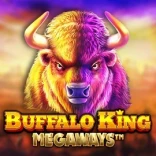 Buffalo King Megaways casinospel
